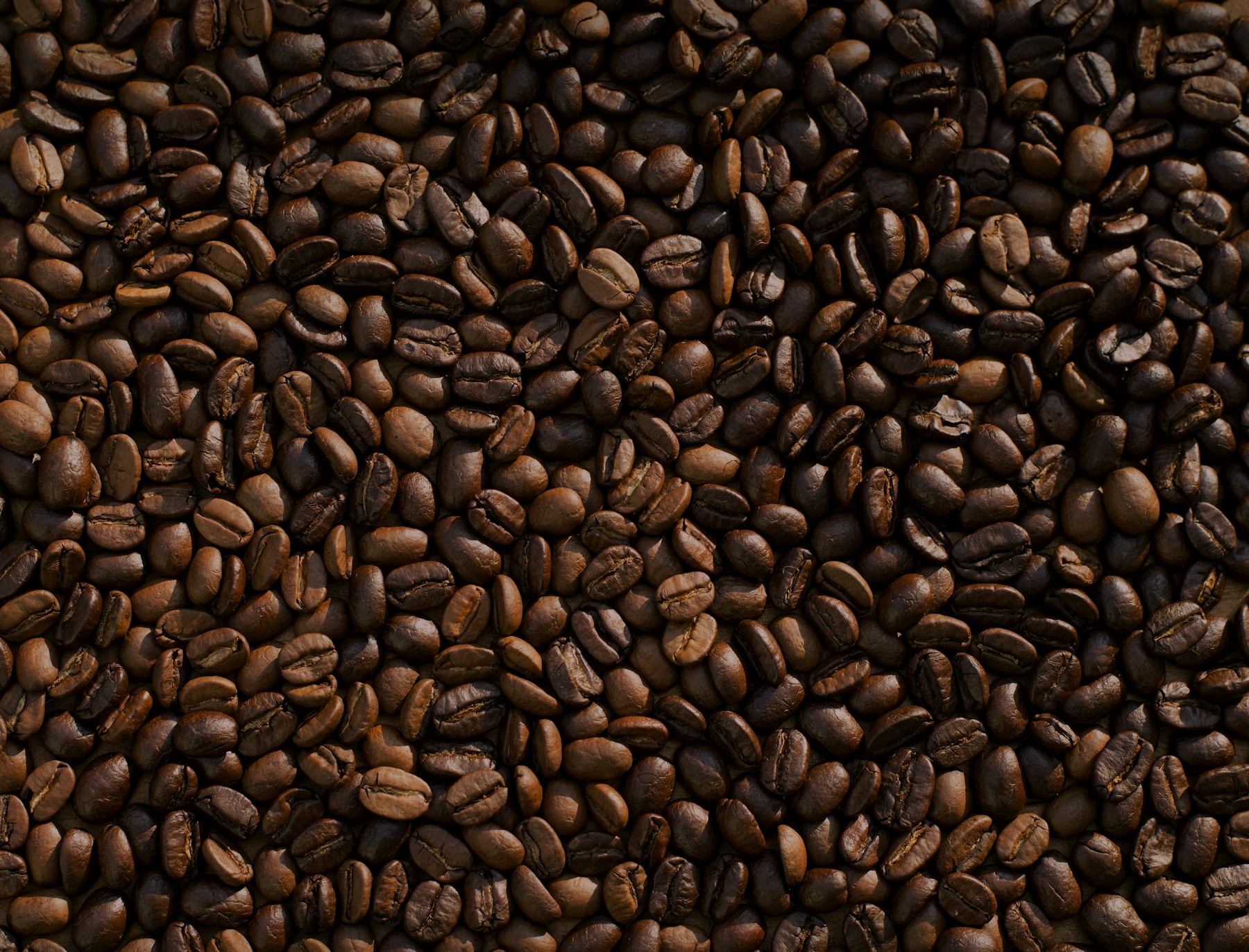 Freshly roasted coffee beans